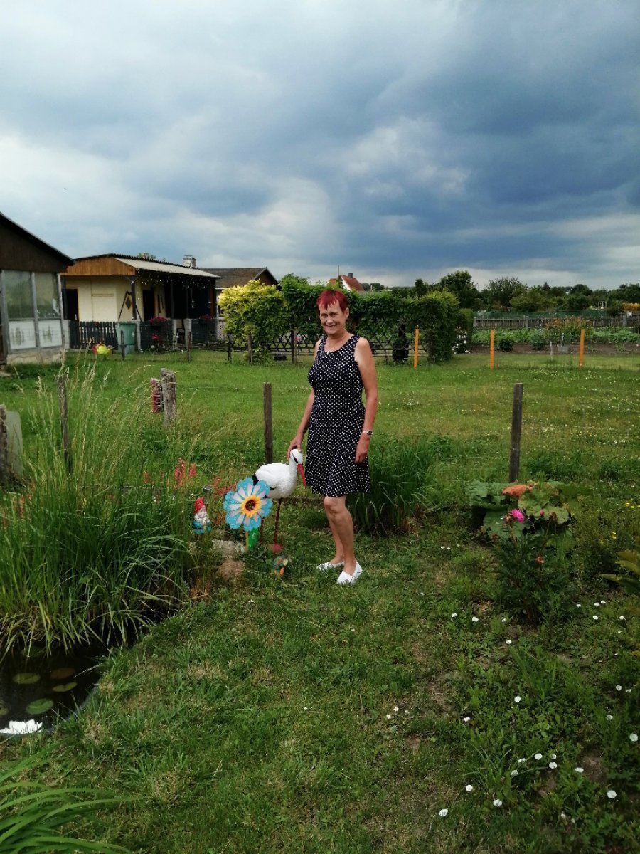 jappy-deine-online-community