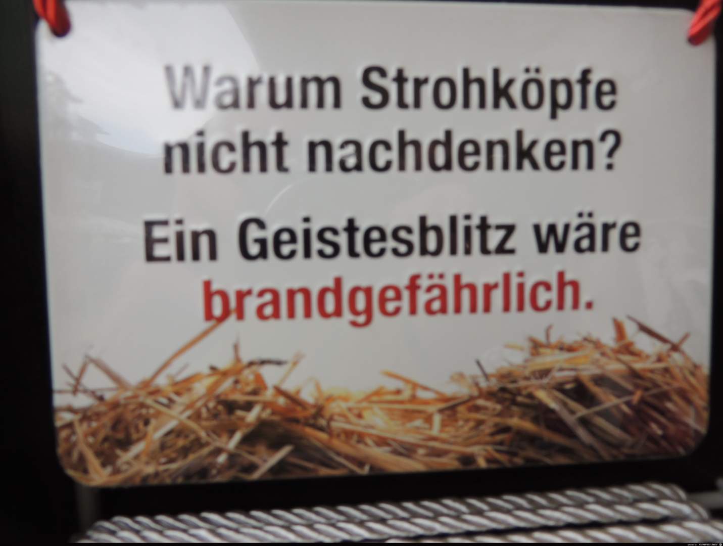 Jappy - Deine Online-Community