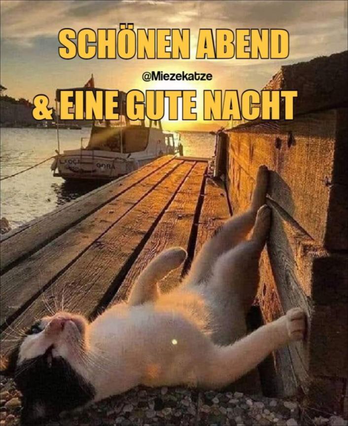 jappy-deine-online-community